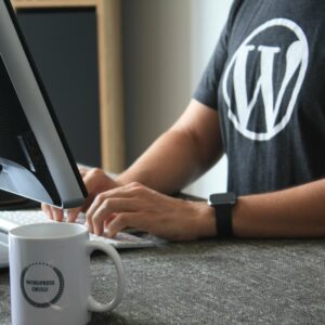 Custom WordPress Development